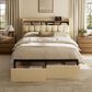 HOMLUX Full Upholstered Platform Storage Bed Frame with Storage Headboard in Beige, , large