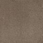 Dream Weaver Serene II Carpet in Cinnabar, , large