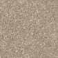 Shaw Hard At Play II Carpet in Subtle Clay, , large