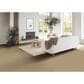 Phenix Mesh Carpet in Link, , large