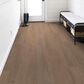 Shaw Vinyl Tile Ascent Natural Bevel Habitat 9" x 72" Vinyl Plank, , large