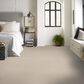 Shaw Austin Park Carpet in Alabaster, , large