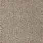 Mohawk Dahlia Harbor Carpet in Faint Maple, , large