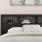 Ashley Broachmyn Queen Bookcase Bed in Black and Gray, , large