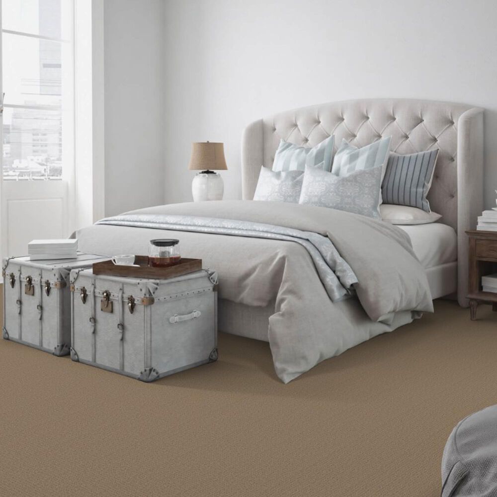 Dixie Home Galliard Carpet in Avenue, , large