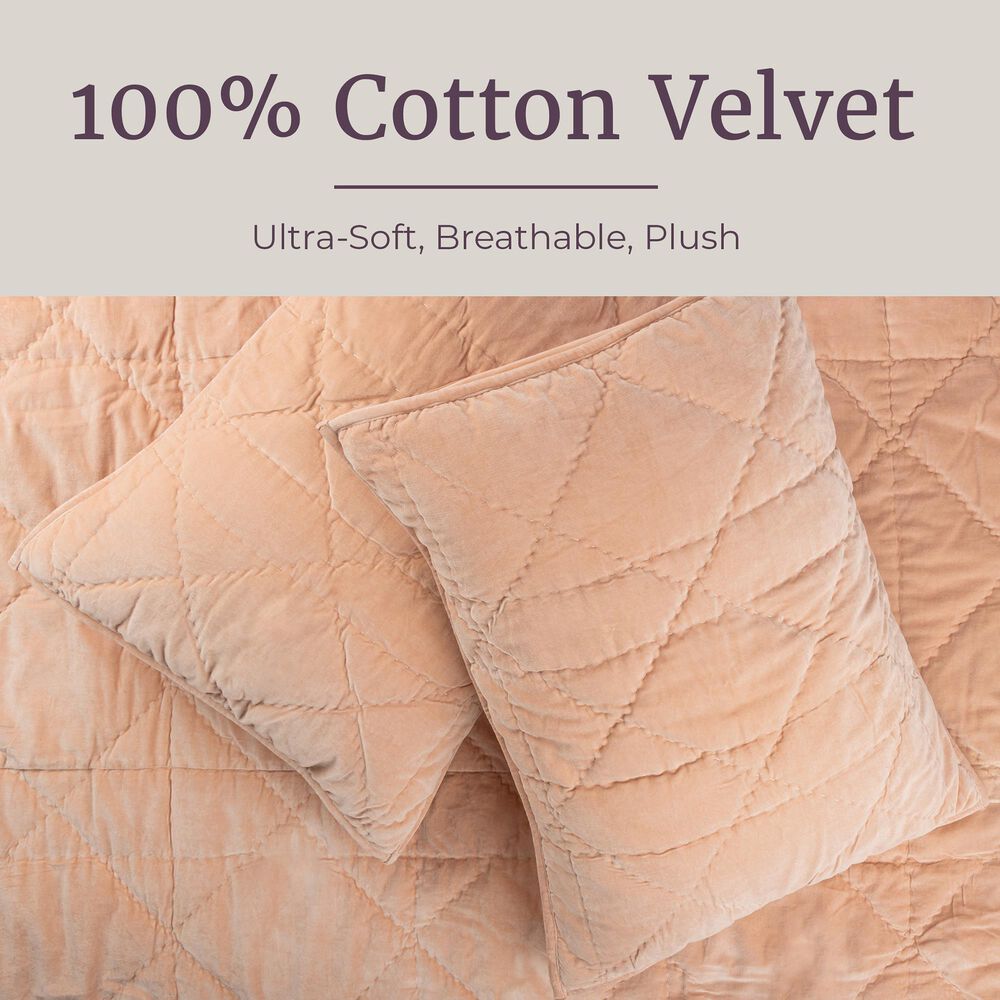 Timberlake 2-Piece Velvet Twin Quilt Set in Pink, , large