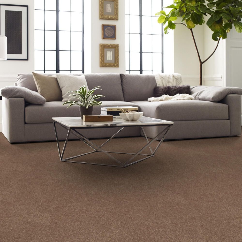Shaw Easy Spirit II 12&#39; Carpet in Bungalow, , large