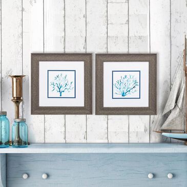 Propac Azure Seafan Framed Art (Set of 2), , large