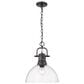 Golden Lighting Duncan 1-Light Pendant in Matte Black, , large