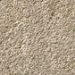 Shaw Well Grounded I 12" Carpet in Raw Lumber, , large