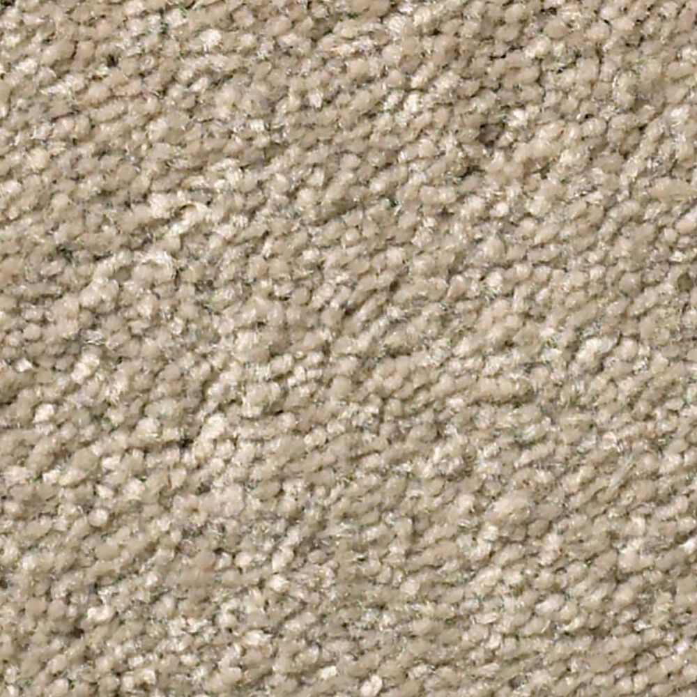 Shaw Well Grounded I 12" Carpet in Raw Lumber, , large