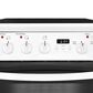 Frigidaire 24"" Freestanding Electric Range in White, , large
