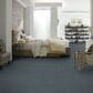 Anderson Tuftex Nomad Carpet in Stratton, , large