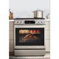 LG 6.3 Cu. Ft. Convection InstaView Dual Fuel Slide-In Range in Print Proof Stainless Steel, , large