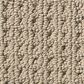 Anderson Tuftex Cabo Cove Carpet in Latte, , large