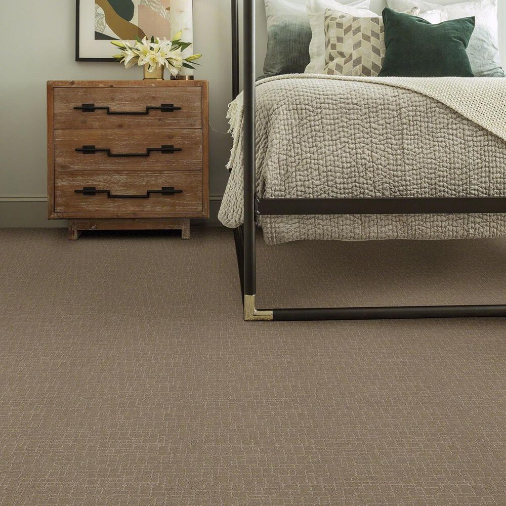 Anderson Tuftex New Tricks Carpet in Driftwood, , large