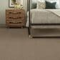 Anderson Tuftex New Tricks Carpet in Driftwood, , large