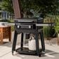Traeger Grills Flatrock 2-Zone Liquid Propane Griddle in Black, , large