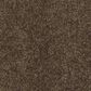 Shaw Barracan Classic IV Carpet in Bison, , large