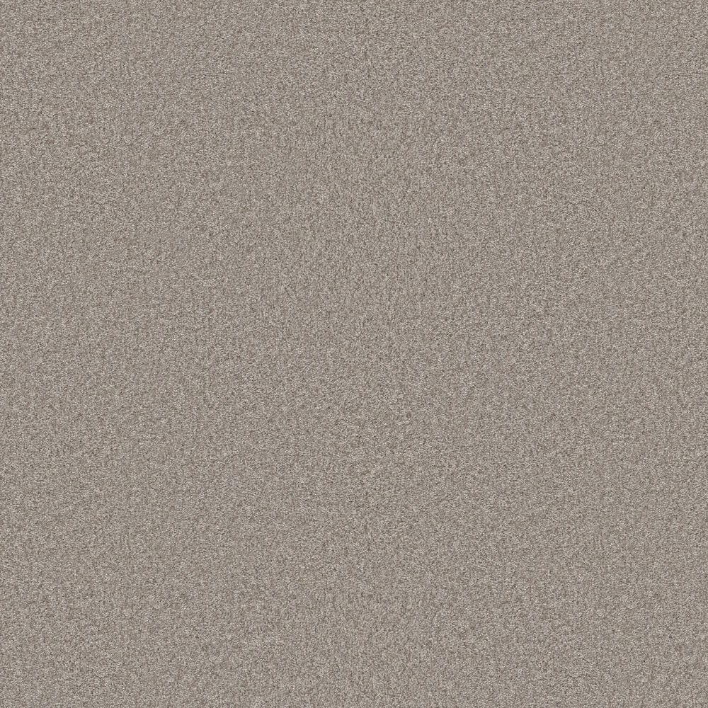 Shaw You Got This II Carpet in Chic Greige, , large