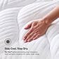 Bedgear H6 Hybrid Plush Pillow Top Queen Mattress in a Box, , large