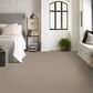Anderson Tuftex Finery Carpet in Dusty Trail, , large