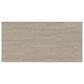 Dal-Tile Haddonstone Atlas Rectangle Ridge 12" x 24" Porcelain Tile, , large