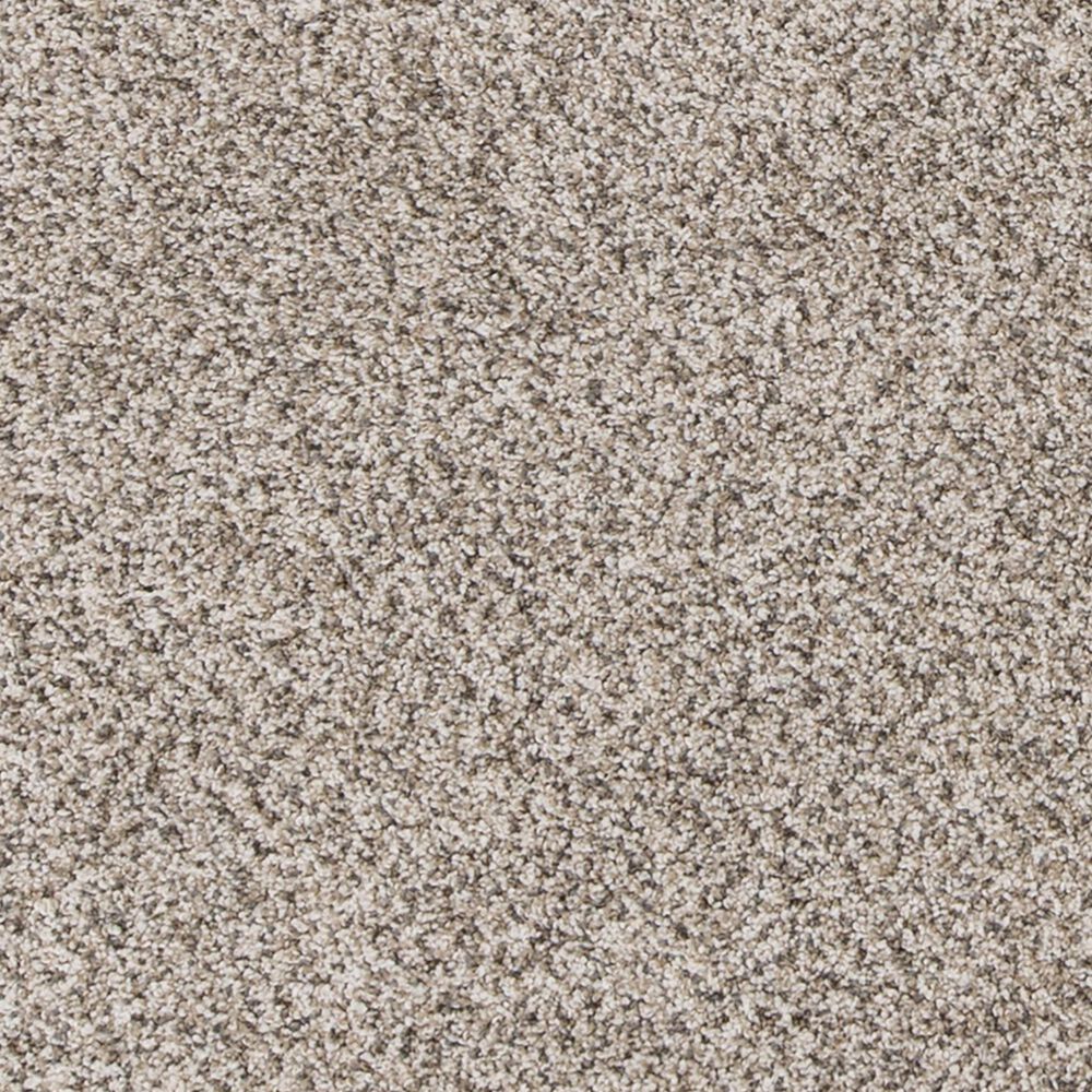 Mohawk Canine Comfort Carpet in Frosty Spice, , large
