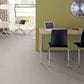 Shaw Naturalistic Carpet in Winters Dawn, , large