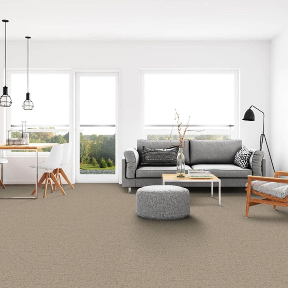 Dixie Home Genuine Carpet in Aboveboard, , large