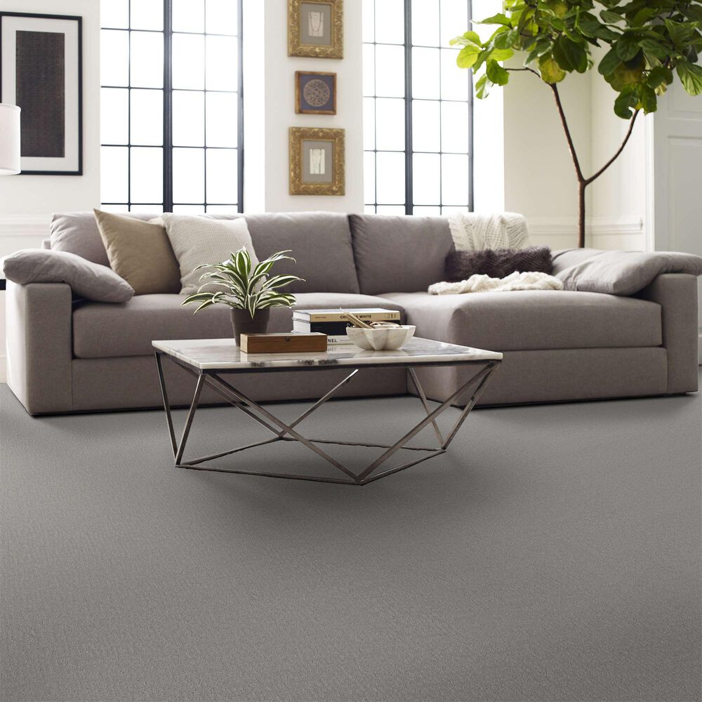 Shaw Clever Design Carpet in Sterling, , large