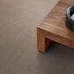 Anderson Tuftex Sumptuous II Carpet in Toasted Grain, , large