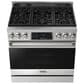 Thor Kitchen Gordon Ramsay 6 Cu. Ft. Professional Natural Gas Range in Stainless Steel, , large