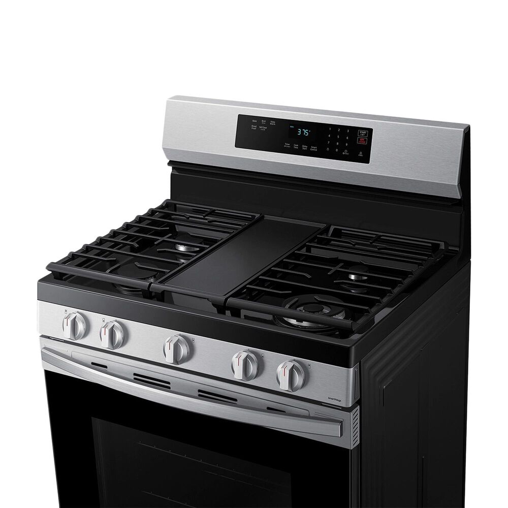 Samsung 6 Cu. Ft. Freestanding Gas Range with Self Clean in Stainless Steel, , large
