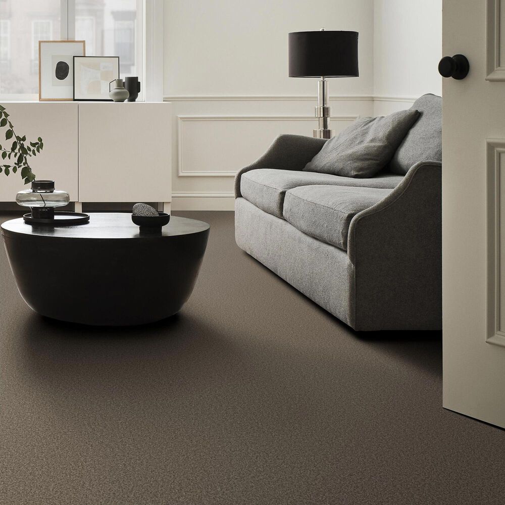 Anderson Tuftex Avalon Bay Carpet in Smokehouse, , large