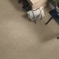 Shaw Find Your Comfort TT II Carpet in Honey Tea, , large