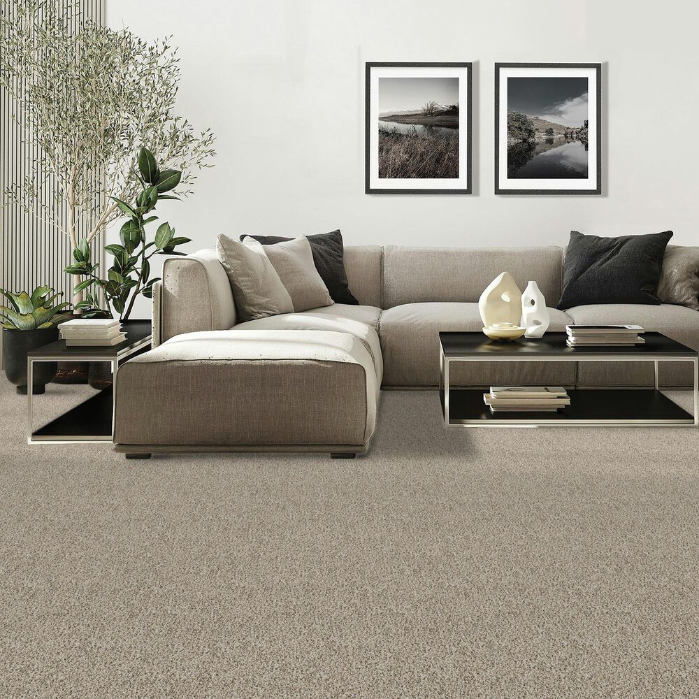Mohawk Diffurent Choice II Carpet in Frosty Spice, , large