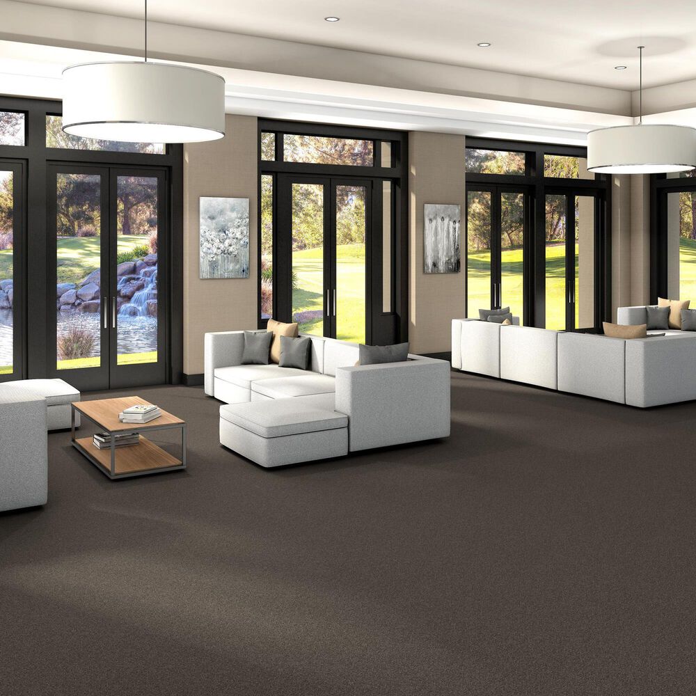 Shaw Yes You Can III Carpet in Urban Rustic, , large