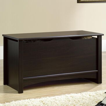 Sauder Shoal Creek Storage Chest in Jamocha Wood, , large