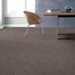 Anderson Tuftex Caress  Artistic Presence Carpet in Ridgeview, , large