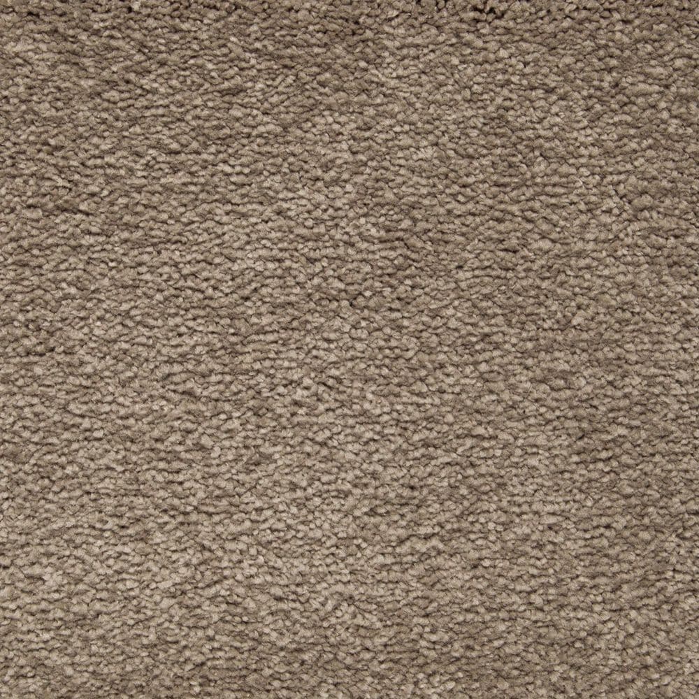 Mohawk Pleasant Touch Carpet in Gondola, , large