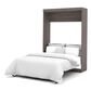 Bestar Nebula Full Wall Bed in Bark Grey, , large