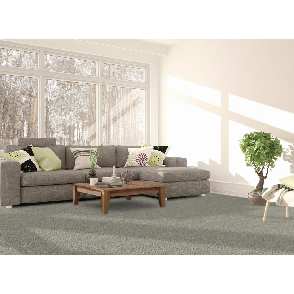 Dream Weaver Oxford II Carpet in Willows, , large
