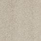 Anderson Tuftex Barracan Classic I Carpet in Suede, , large
