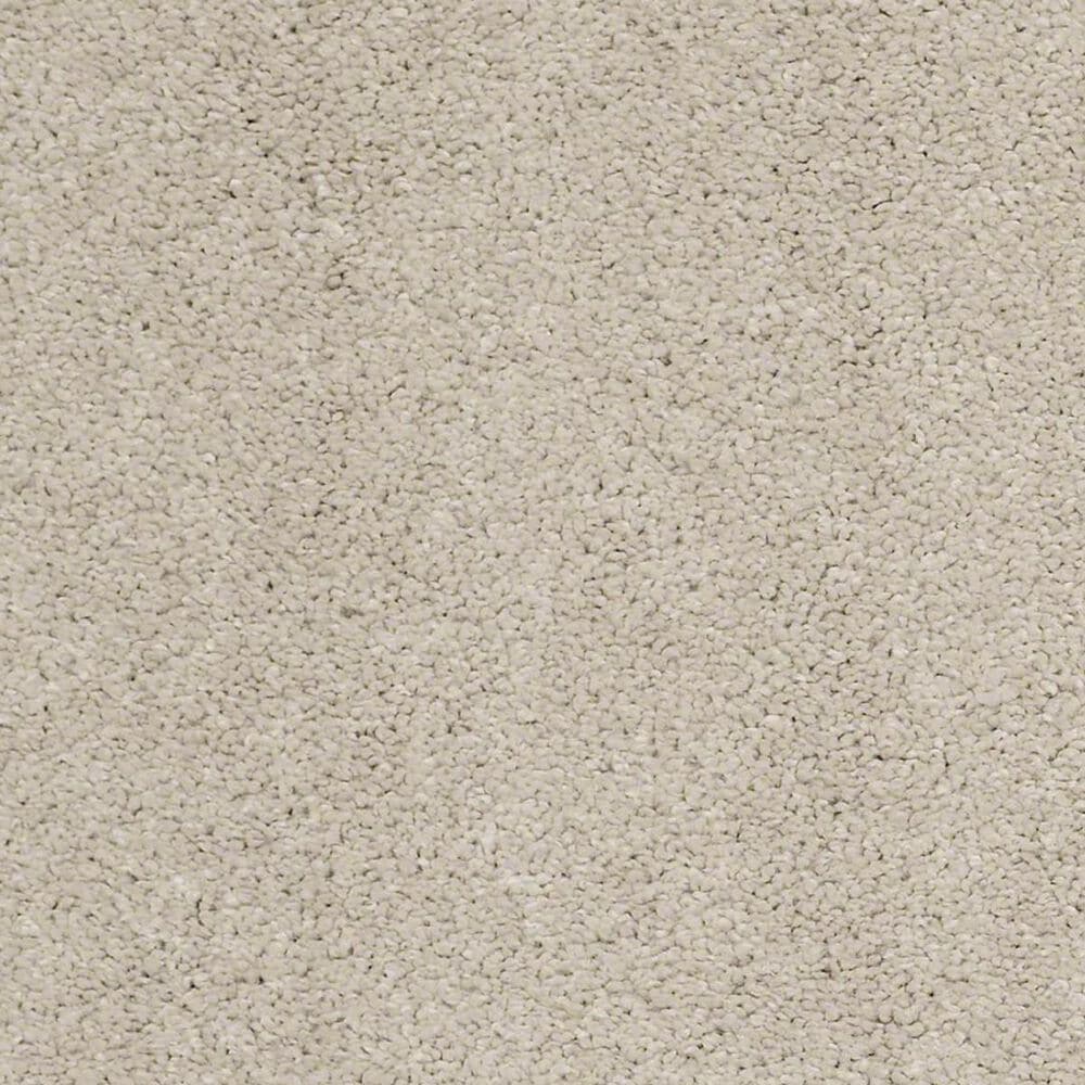 Anderson Tuftex Barracan Classic I Carpet in Suede, , large