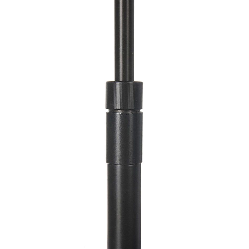 Lite Source Pharma LED Floor Lamp in Dark Bronze, , large