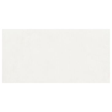 Dal-Tile Portfolio Matte Ice 12" x 24" Porcelain Tile, , large