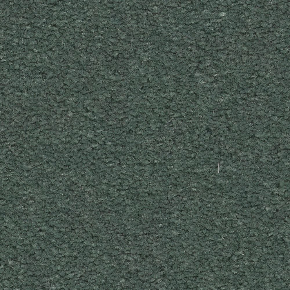 Anderson Tuftex Finery Carpet in Grove, , large