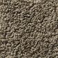 Shaw Del Morro Carpet in Denali, , large