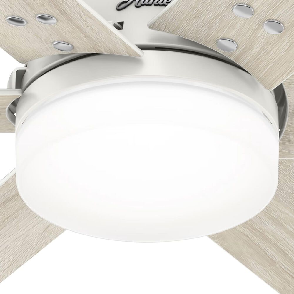 Hunter Pacer 44&quot; Ceiling Fan with LED Lights in Fresh White, , large